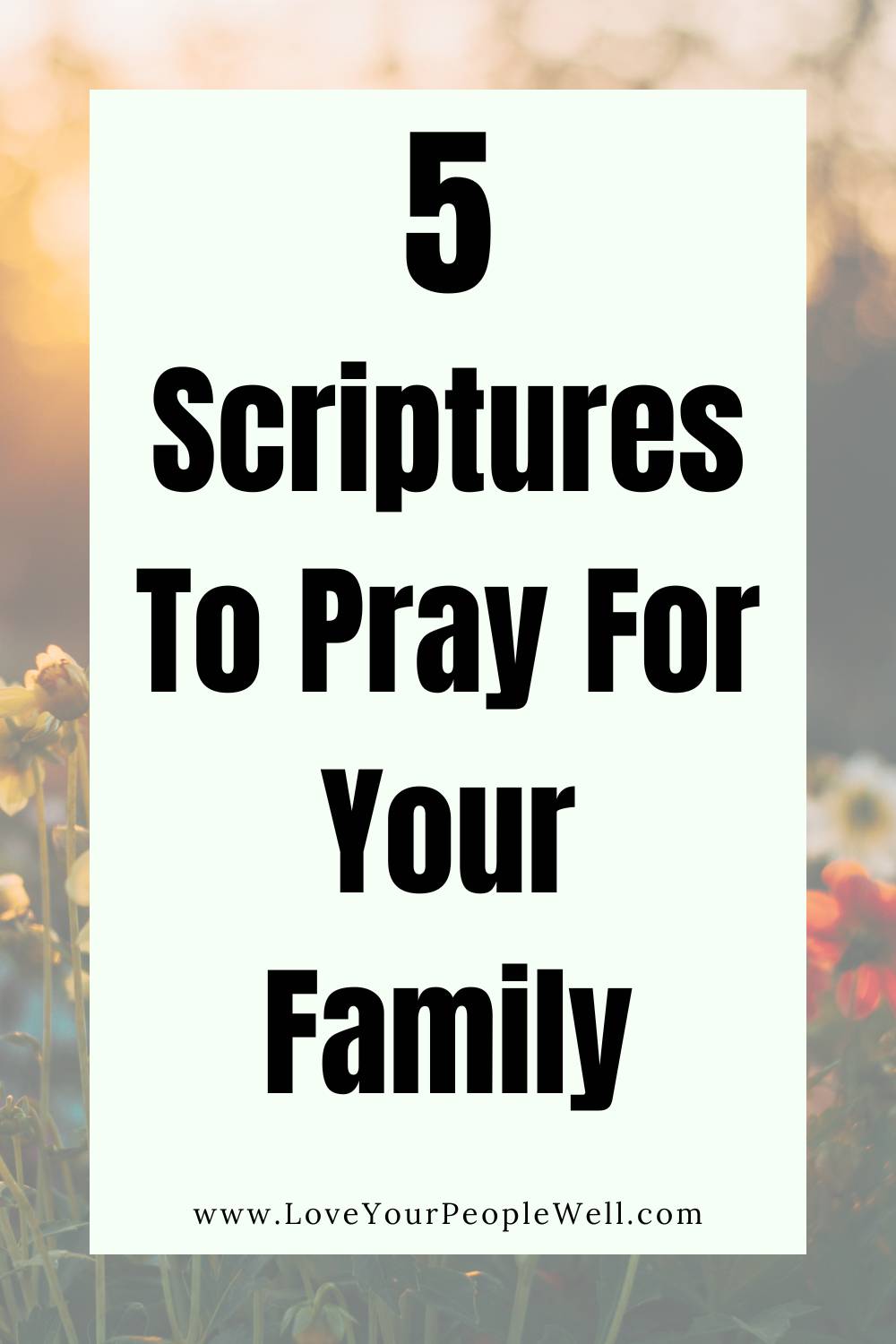 5 great Scriptures to pray for your family