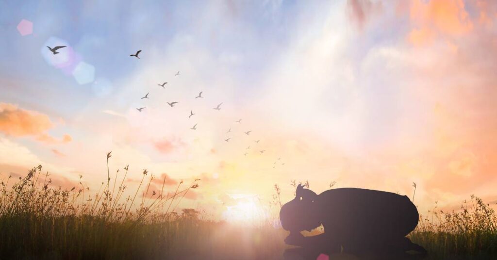 woman in a field kneeling in prayer trying to trust God completely as she prays